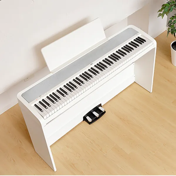 Music City – Tổng Kho Piano, Guitar, Organ | Dịch Vụ Giáo Dục Âm Nhạc