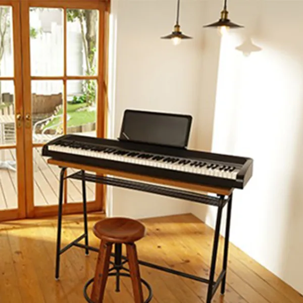 dan-piano-korg-b2-musiccity