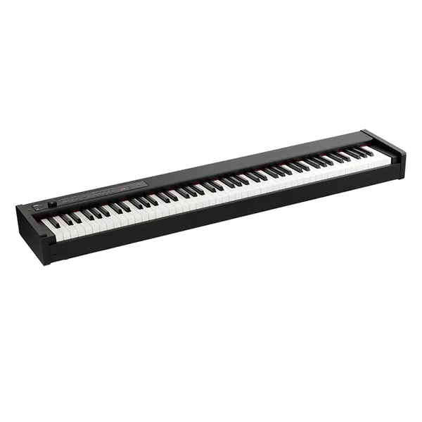 dan-piano-korg-d1-musiccity