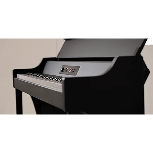 Music City – Tổng Kho Piano, Guitar, Organ | Dịch Vụ Giáo Dục Âm Nhạc