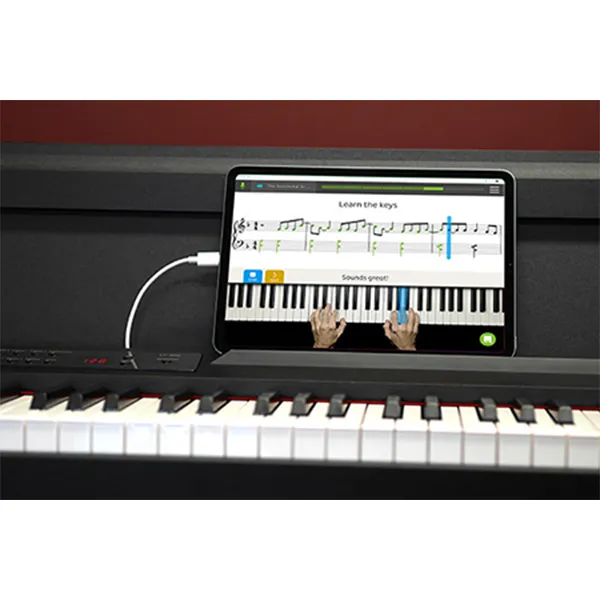 Đàn Piano Korg LP380 - Ảnh 12