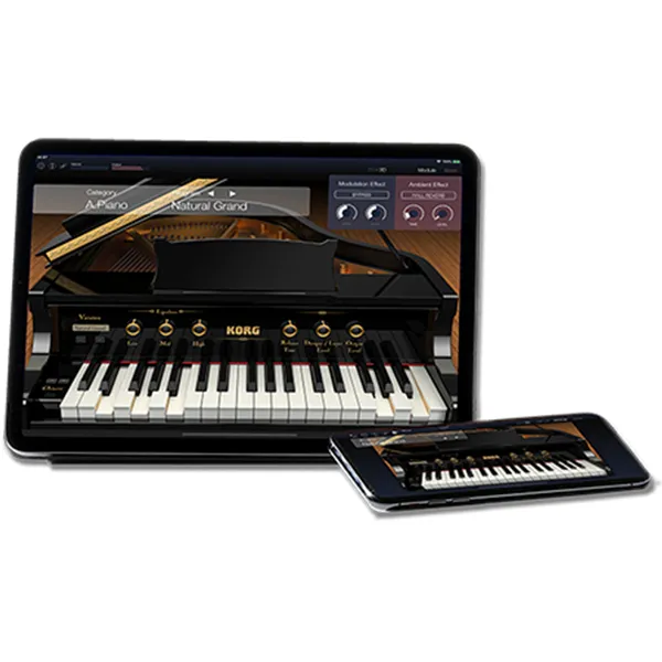 Music City – Tổng Kho Piano, Guitar, Organ | Dịch Vụ Giáo Dục Âm Nhạc