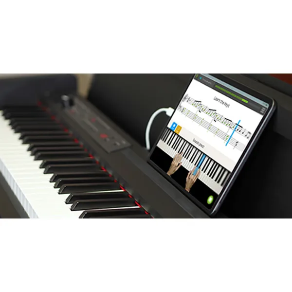 Đàn Piano Korg LP380 - Ảnh 11