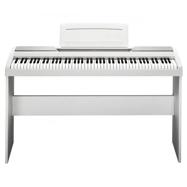 Music City – Tổng Kho Piano, Guitar, Organ | Dịch Vụ Giáo Dục Âm Nhạc