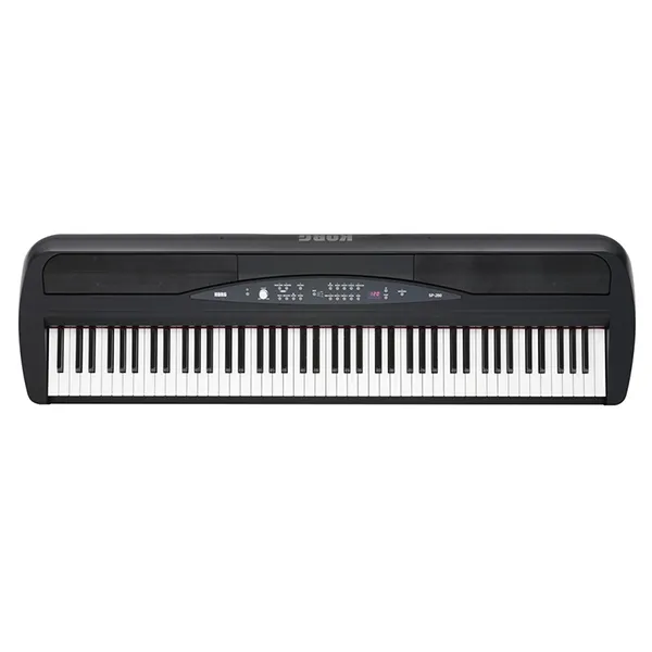 Music City – Tổng Kho Piano, Guitar, Organ | Dịch Vụ Giáo Dục Âm Nhạc