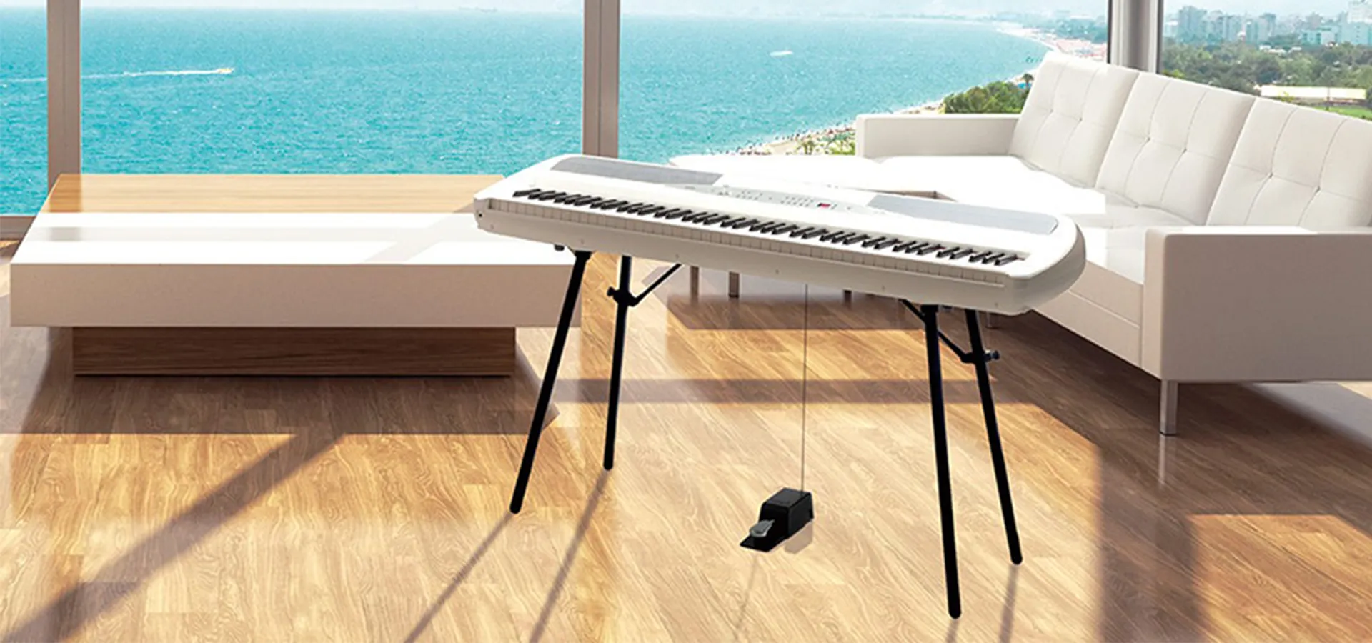 Music City – Tổng Kho Piano, Guitar, Organ | Dịch Vụ Giáo Dục Âm Nhạc