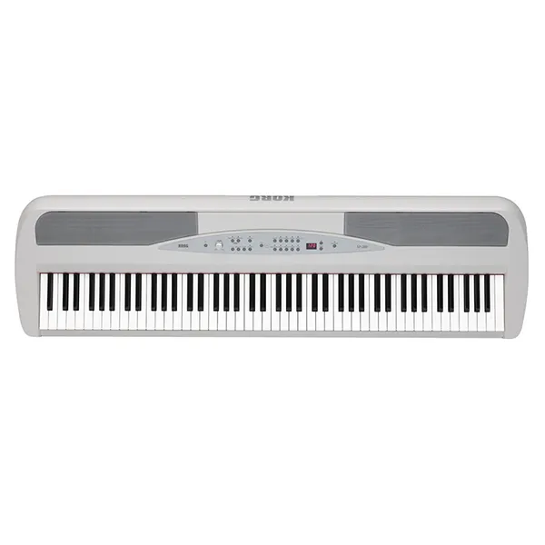 Music City – Tổng Kho Piano, Guitar, Organ | Dịch Vụ Giáo Dục Âm Nhạc