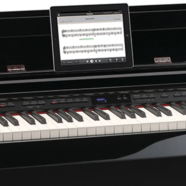 Music City – Tổng Kho Piano, Guitar, Organ | Dịch Vụ Giáo Dục Âm Nhạc