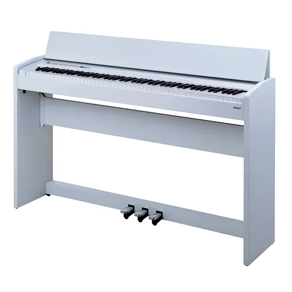 Music City – Tổng Kho Piano, Guitar, Organ | Dịch Vụ Giáo Dục Âm Nhạc
