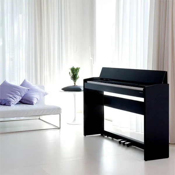 Music City – Tổng Kho Piano, Guitar, Organ | Dịch Vụ Giáo Dục Âm Nhạc