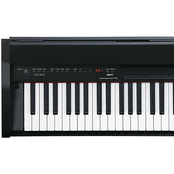 Music City – Tổng Kho Piano, Guitar, Organ | Dịch Vụ Giáo Dục Âm Nhạc
