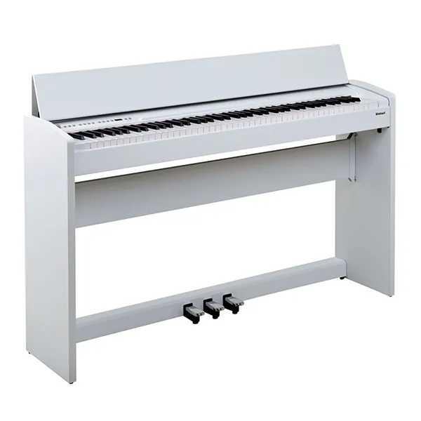 dan-piano-roland-f110-musiccity