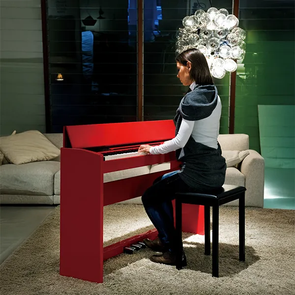 Music City – Tổng Kho Piano, Guitar, Organ | Dịch Vụ Giáo Dục Âm Nhạc
