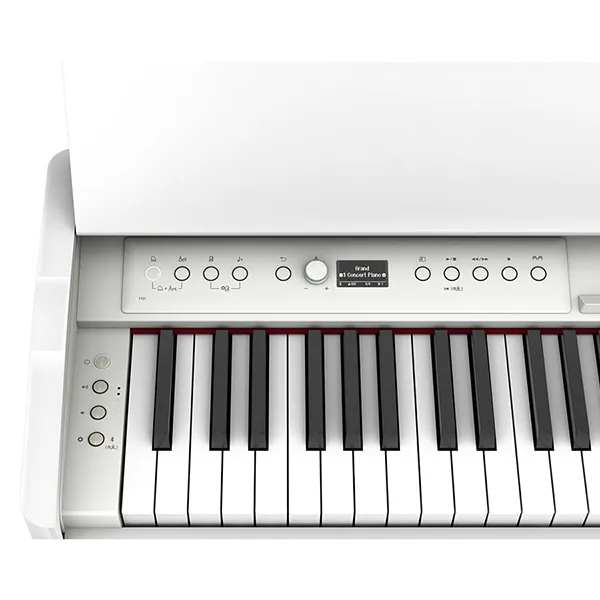 Music City – Tổng Kho Piano, Guitar, Organ | Dịch Vụ Giáo Dục Âm Nhạc