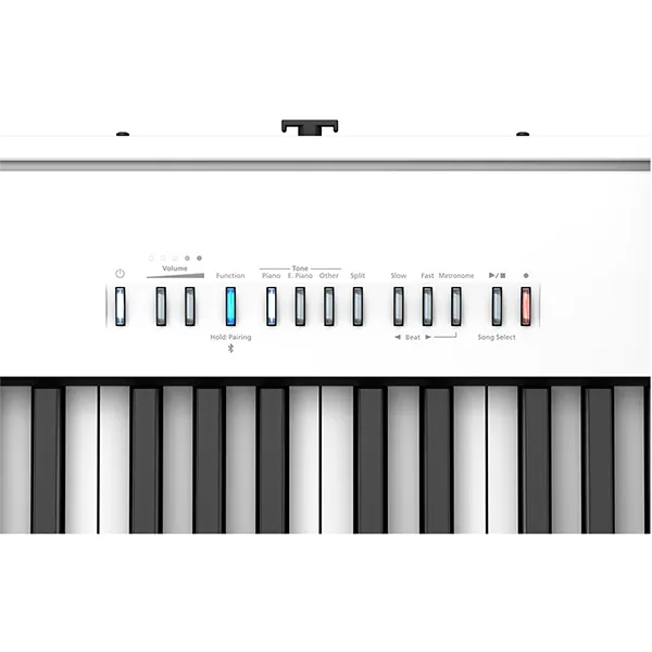 Music City – Tổng Kho Piano, Guitar, Organ | Dịch Vụ Giáo Dục Âm Nhạc