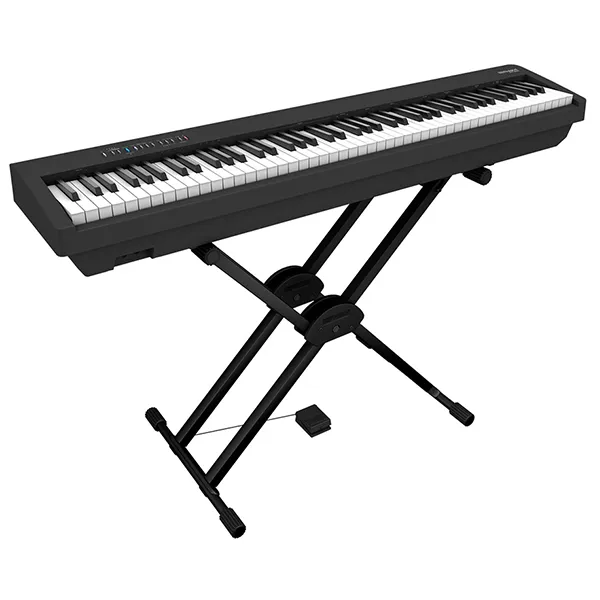 Music City – Tổng Kho Piano, Guitar, Organ | Dịch Vụ Giáo Dục Âm Nhạc