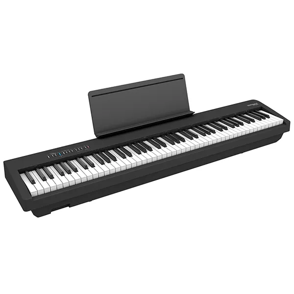 Music City – Tổng Kho Piano, Guitar, Organ | Dịch Vụ Giáo Dục Âm Nhạc
