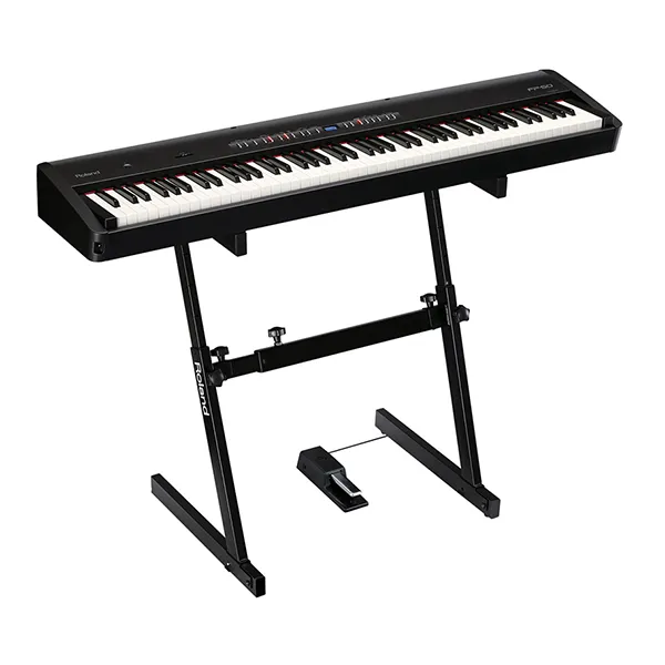 Music City – Tổng Kho Piano, Guitar, Organ | Dịch Vụ Giáo Dục Âm Nhạc