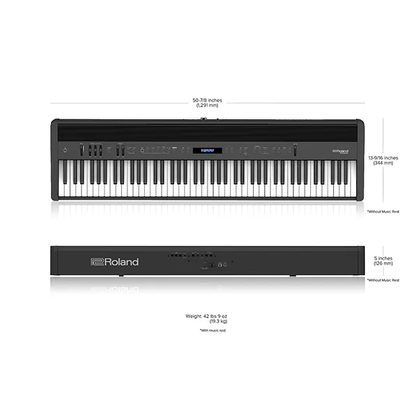 Music City – Tổng Kho Piano, Guitar, Organ | Dịch Vụ Giáo Dục Âm Nhạc