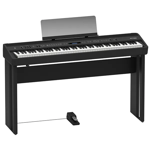 Music City – Tổng Kho Piano, Guitar, Organ | Dịch Vụ Giáo Dục Âm Nhạc