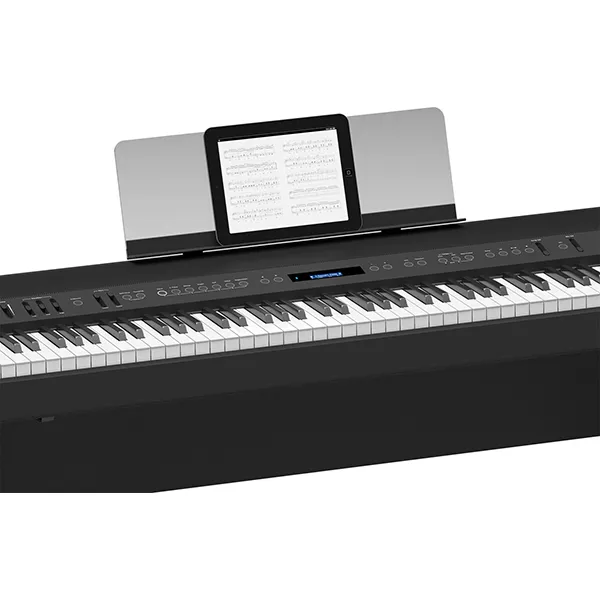 Music City – Tổng Kho Piano, Guitar, Organ | Dịch Vụ Giáo Dục Âm Nhạc