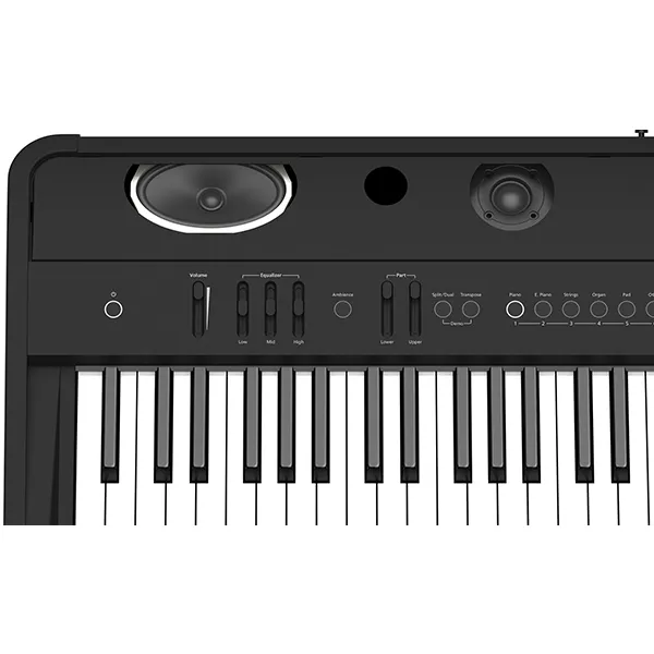 Music City – Tổng Kho Piano, Guitar, Organ | Dịch Vụ Giáo Dục Âm Nhạc