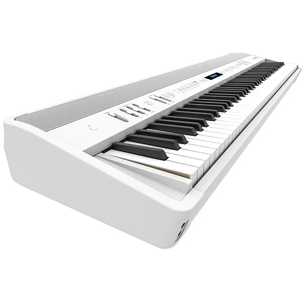 Music City – Tổng Kho Piano, Guitar, Organ | Dịch Vụ Giáo Dục Âm Nhạc