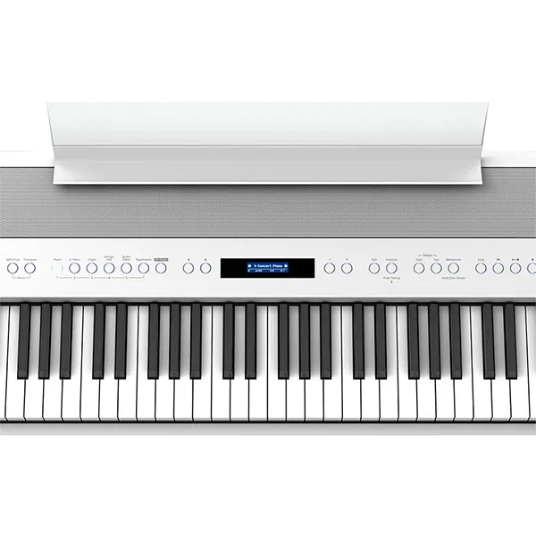 Music City – Tổng Kho Piano, Guitar, Organ | Dịch Vụ Giáo Dục Âm Nhạc