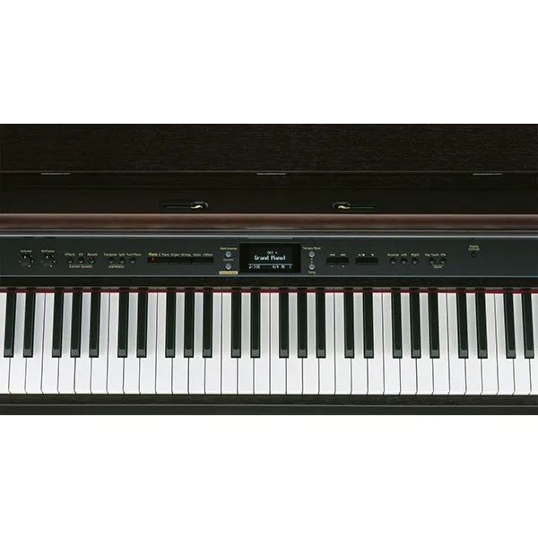 Music City – Tổng Kho Piano, Guitar, Organ | Dịch Vụ Giáo Dục Âm Nhạc