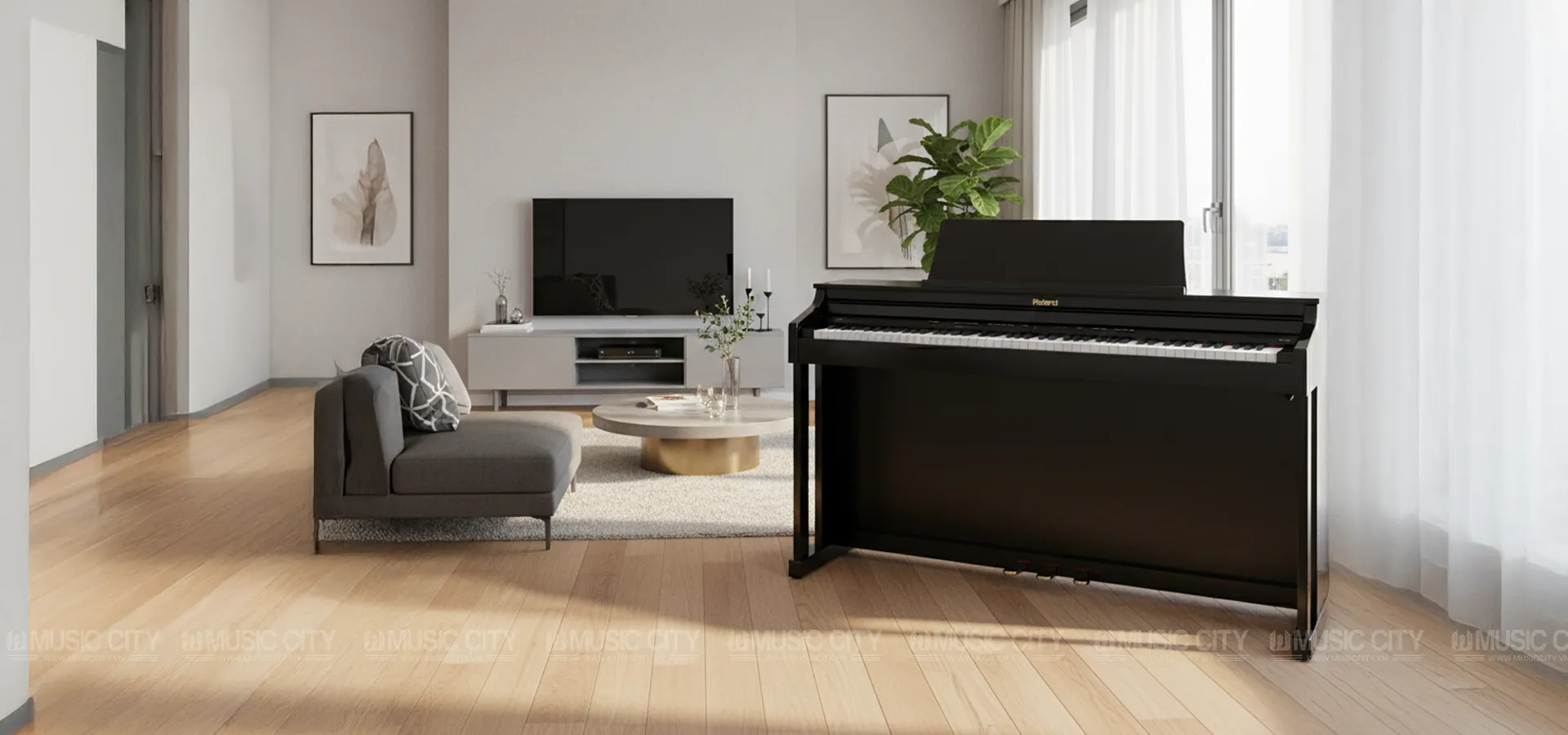 Music City – Tổng Kho Piano, Guitar, Organ | Dịch Vụ Giáo Dục Âm Nhạc