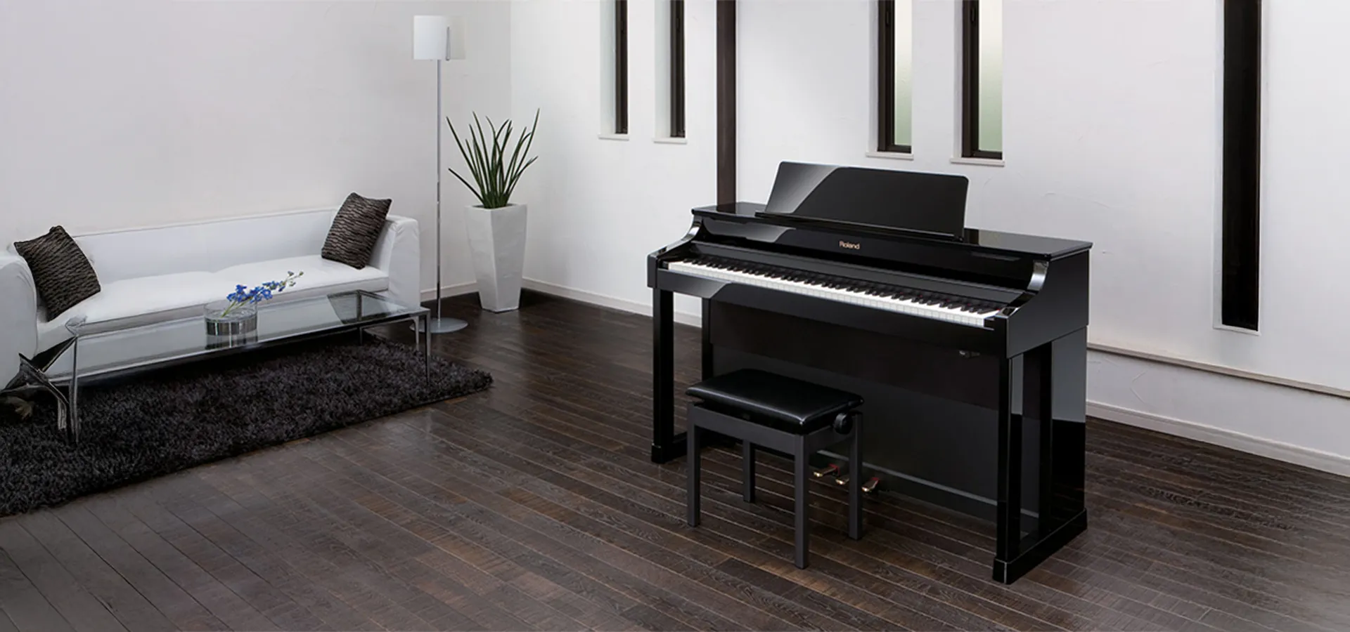 Music City – Tổng Kho Piano, Guitar, Organ | Dịch Vụ Giáo Dục Âm Nhạc