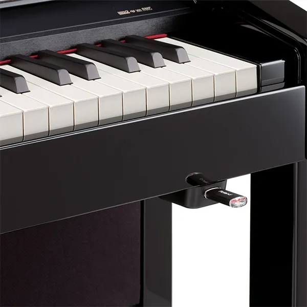 Music City – Tổng Kho Piano, Guitar, Organ | Dịch Vụ Giáo Dục Âm Nhạc