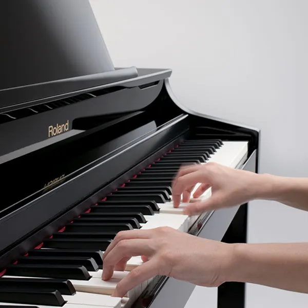 Music City – Tổng Kho Piano, Guitar, Organ | Dịch Vụ Giáo Dục Âm Nhạc