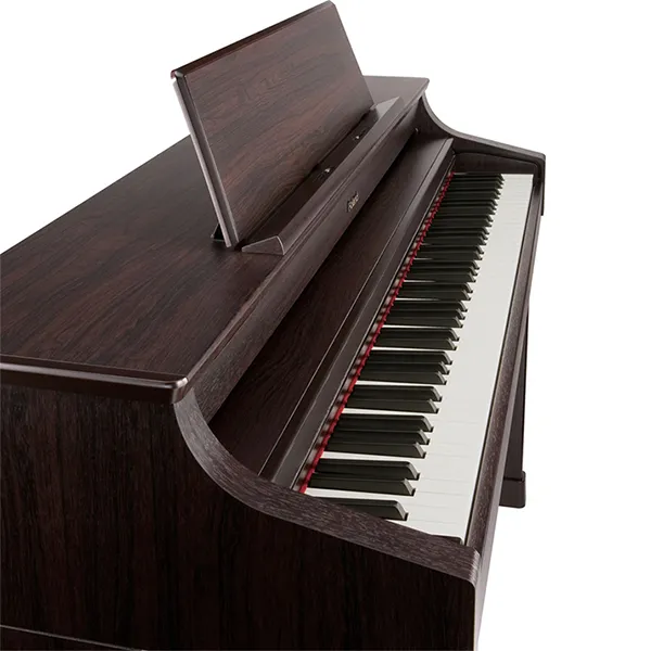 Music City – Tổng Kho Piano, Guitar, Organ | Dịch Vụ Giáo Dục Âm Nhạc