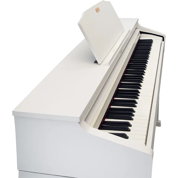 Music City – Tổng Kho Piano, Guitar, Organ | Dịch Vụ Giáo Dục Âm Nhạc