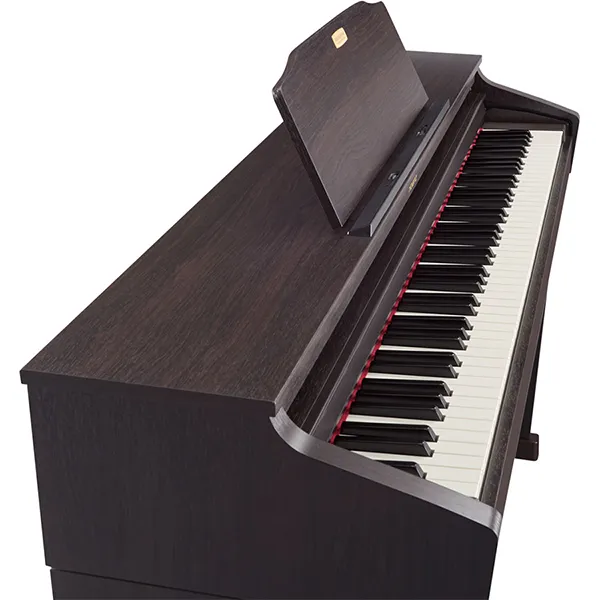 Music City – Tổng Kho Piano, Guitar, Organ | Dịch Vụ Giáo Dục Âm Nhạc