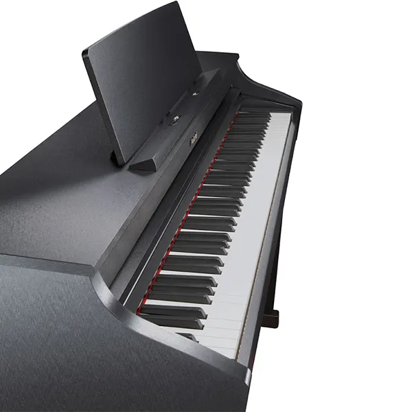 Music City – Tổng Kho Piano, Guitar, Organ | Dịch Vụ Giáo Dục Âm Nhạc