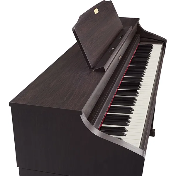 Music City – Tổng Kho Piano, Guitar, Organ | Dịch Vụ Giáo Dục Âm Nhạc