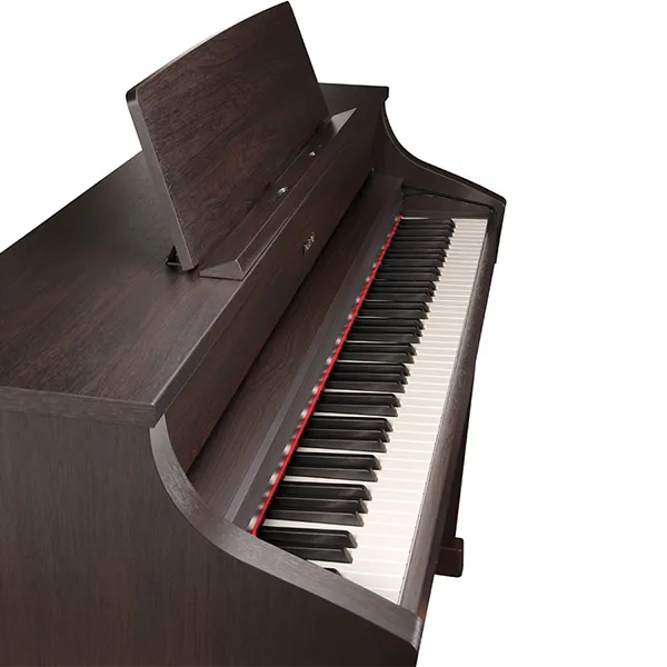 Music City – Tổng Kho Piano, Guitar, Organ | Dịch Vụ Giáo Dục Âm Nhạc