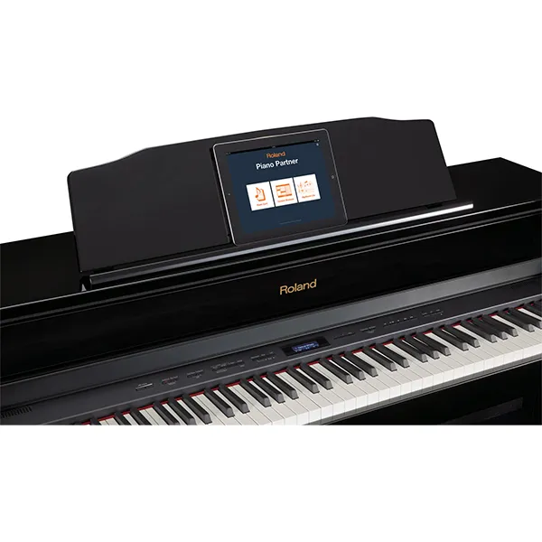 Music City – Tổng Kho Piano, Guitar, Organ | Dịch Vụ Giáo Dục Âm Nhạc