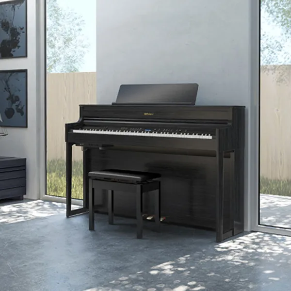 Music City – Tổng Kho Piano, Guitar, Organ | Dịch Vụ Giáo Dục Âm Nhạc