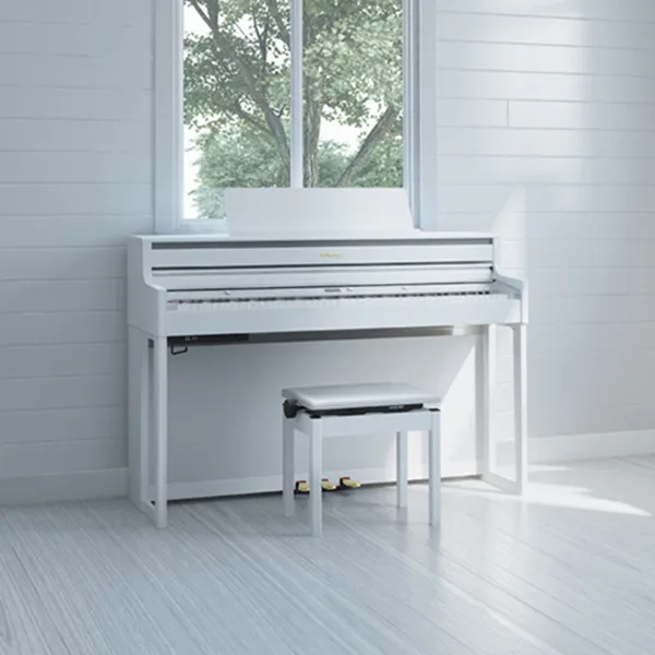 Music City – Tổng Kho Piano, Guitar, Organ | Dịch Vụ Giáo Dục Âm Nhạc