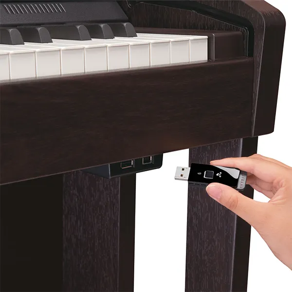 Music City – Tổng Kho Piano, Guitar, Organ | Dịch Vụ Giáo Dục Âm Nhạc