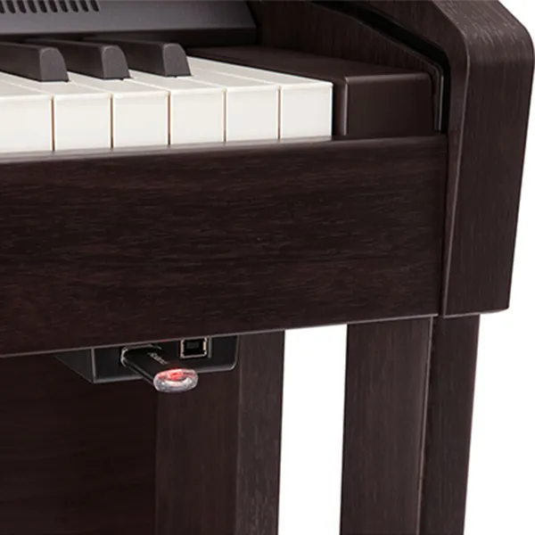 Music City – Tổng Kho Piano, Guitar, Organ | Dịch Vụ Giáo Dục Âm Nhạc
