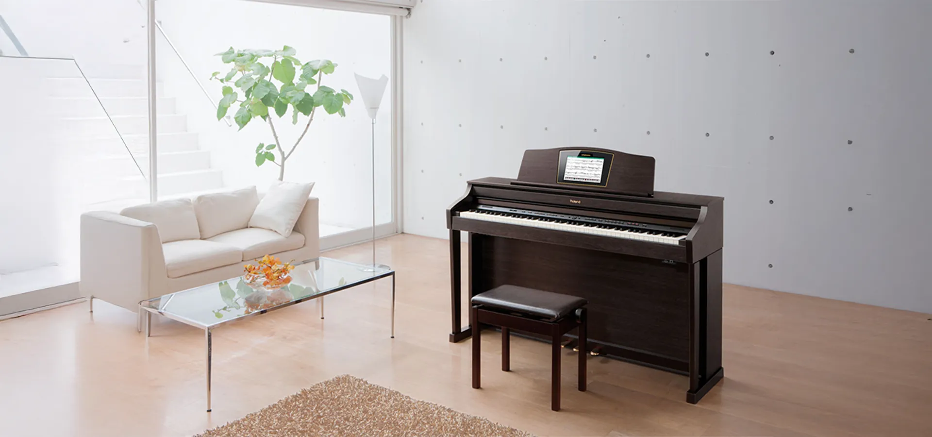 Music City – Tổng Kho Piano, Guitar, Organ | Dịch Vụ Giáo Dục Âm Nhạc