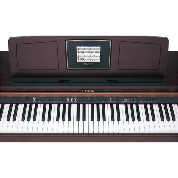 Music City – Tổng Kho Piano, Guitar, Organ | Dịch Vụ Giáo Dục Âm Nhạc