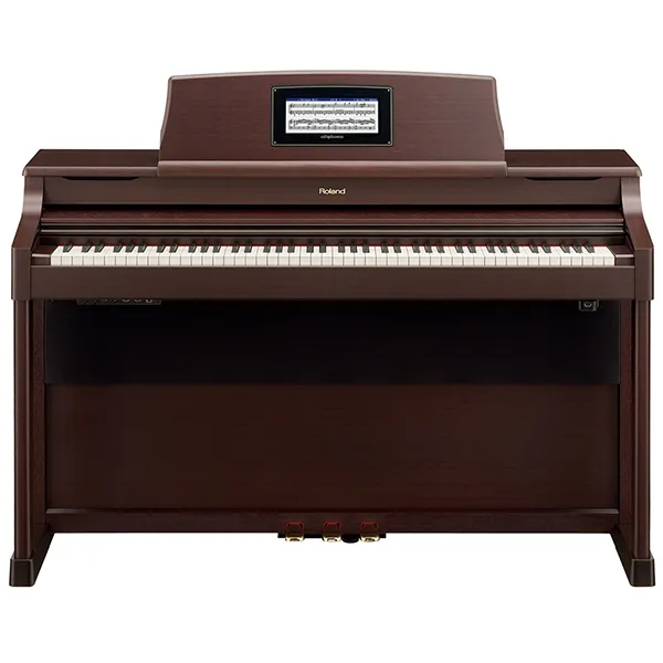Music City – Tổng Kho Piano, Guitar, Organ | Dịch Vụ Giáo Dục Âm Nhạc