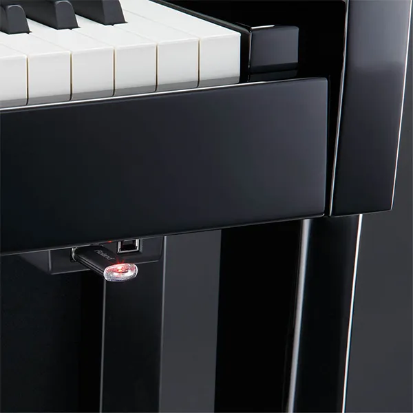 Music City – Tổng Kho Piano, Guitar, Organ | Dịch Vụ Giáo Dục Âm Nhạc