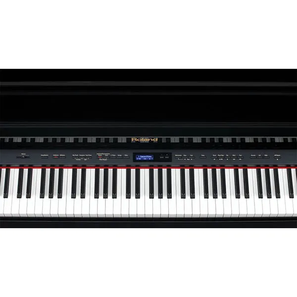 Music City – Tổng Kho Piano, Guitar, Organ | Dịch Vụ Giáo Dục Âm Nhạc