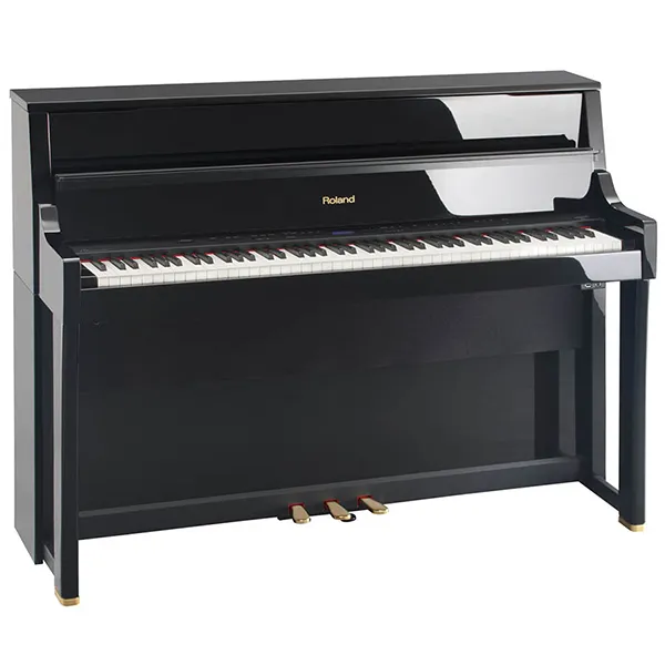 Music City – Tổng Kho Piano, Guitar, Organ | Dịch Vụ Giáo Dục Âm Nhạc